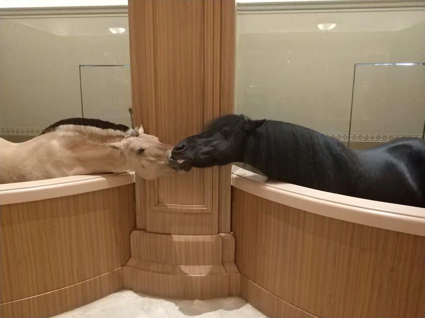 有感于海澜总部马文化馆